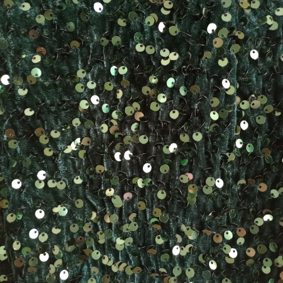 Hello Molly Dark Green Sequin Dress - Picture 8 of 9